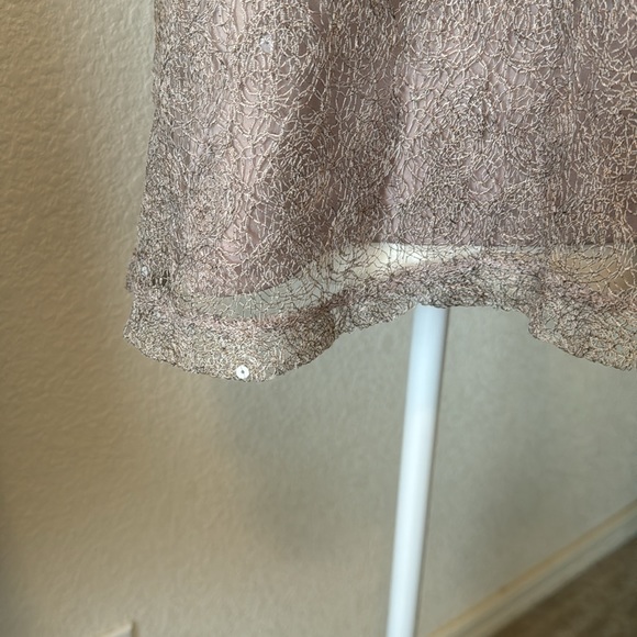 Christopher & Bank Sparkly, Lacy, Taupe Tank Top - Picture 3 of 8